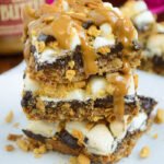 Triple Layer Cookie Butter Smore’s Bars